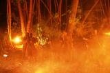 Macbeth en foret 35 * 5184 x 3456 * (10.51MB)